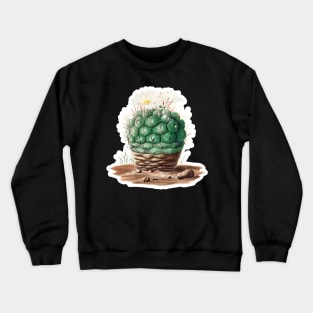 Gymnocalycium uruguayense cactus Crewneck Sweatshirt